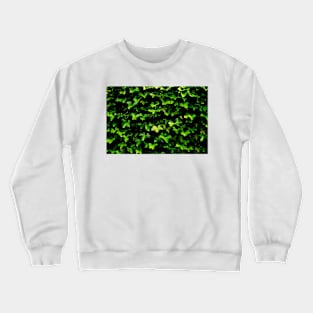 Hedera Crewneck Sweatshirt